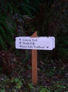 Silver Falls 12.10.05 068 